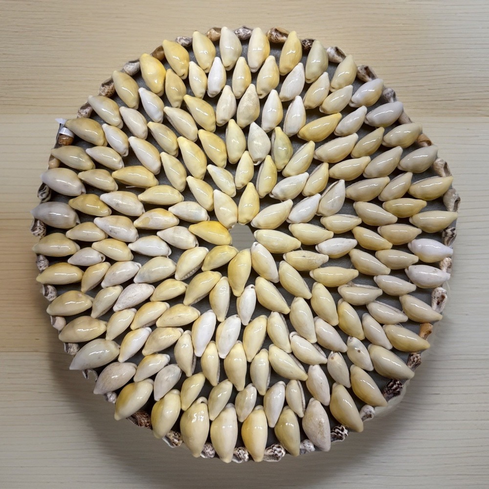 VTG Cowrie Seashell Shell Trivet Coaster Nautical Cottage Boho Wall Decor 6"